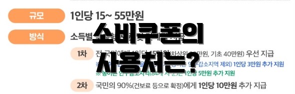 소비쿠폰의 사용처는?