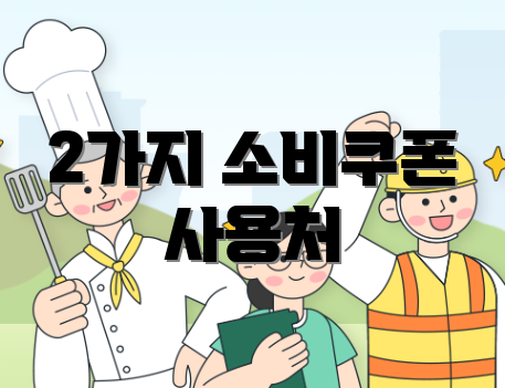 2가지 소비쿠폰 사용처