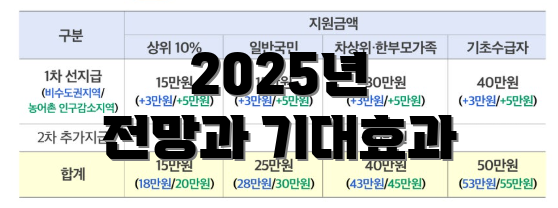 2025년 전망과 기대효과