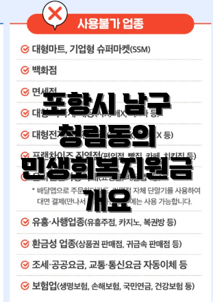 포항시 남구 청림동의 민생회복지원금 개요