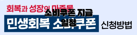 소비쿠폰 지급 일정