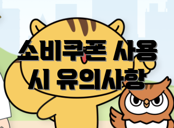 소비쿠폰 사용 시 유의사항